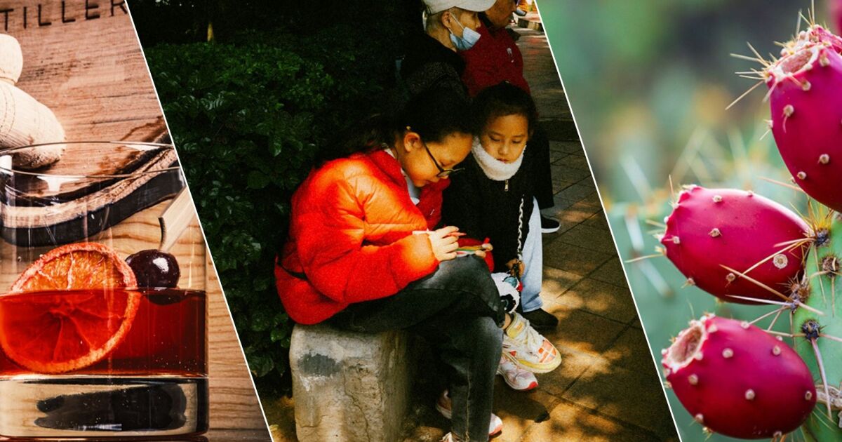 Forever One memorial, Nevada candidate filings and drought crop research