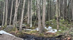 Cleanup crews dug a ditch to prevent further spreading of oil and brine from the impacted area. (Photo: Josef Greenberg/EGLE)