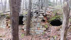 The coke ovens at Glen White, an abandoned town near Altoona, are in poor shape with vegetation and trees growing on them. A group of Blair County volunteers hope to restore the coke ovens and clear the area for visitors. 
