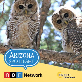 Arizona Spotlight 10/29/26 podcast thumb 