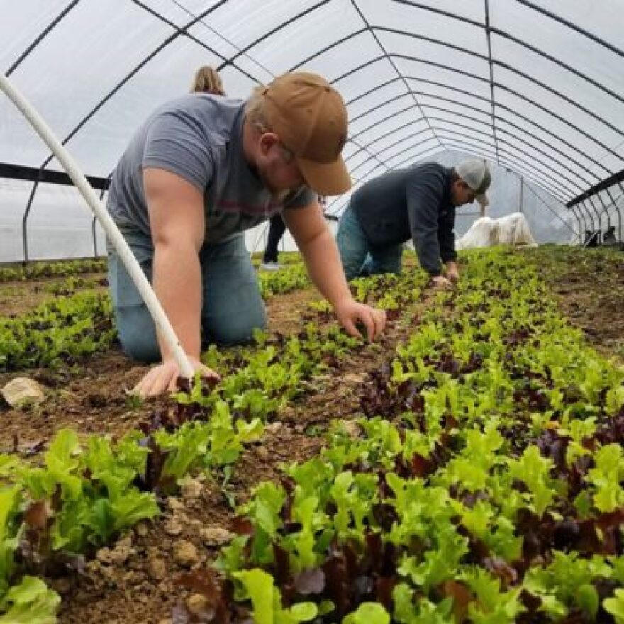 sprouting-farms-400x400.jpg