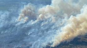 Smoke from the Blue Lakes Fire billows out of the forest in an aerial image taken by a fire spotter plane.