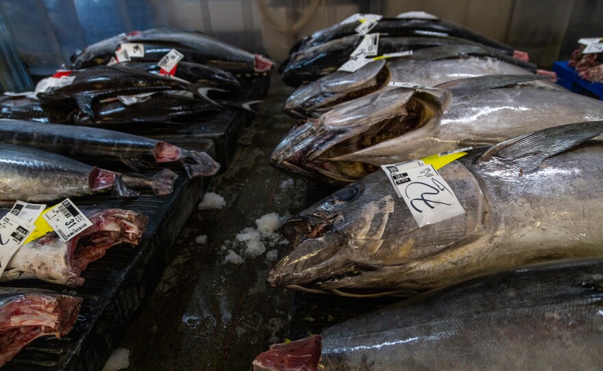 Fish ready to be bought by businesses at the Honolulu Fish Auction on Oct. 5, 2024.
