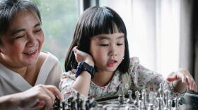 Cognitive Aging Study generational chess