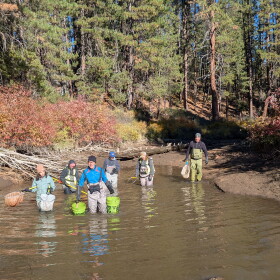 Volunteers participating in the Deschutes River Conservancy's fish rescue