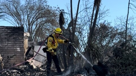 The devastating Mountain Fire last November was a so-called holdover fire caused by an ember from an earlier fire