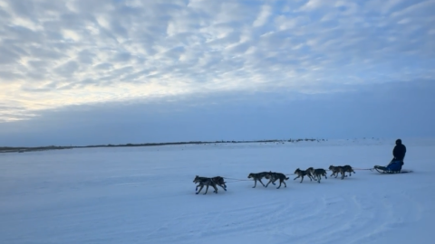 Akiak musher Mike Williams Jr. takes first place in the Kuskokwim 300 (K300) race committee's Season Opener sled dog race on Dec. 13, 2025.