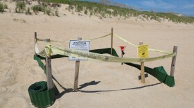 A recently-hatched sea turtle nest in Southern Shores on North Carolina's Outer Banks on Aug. 17, 2026.