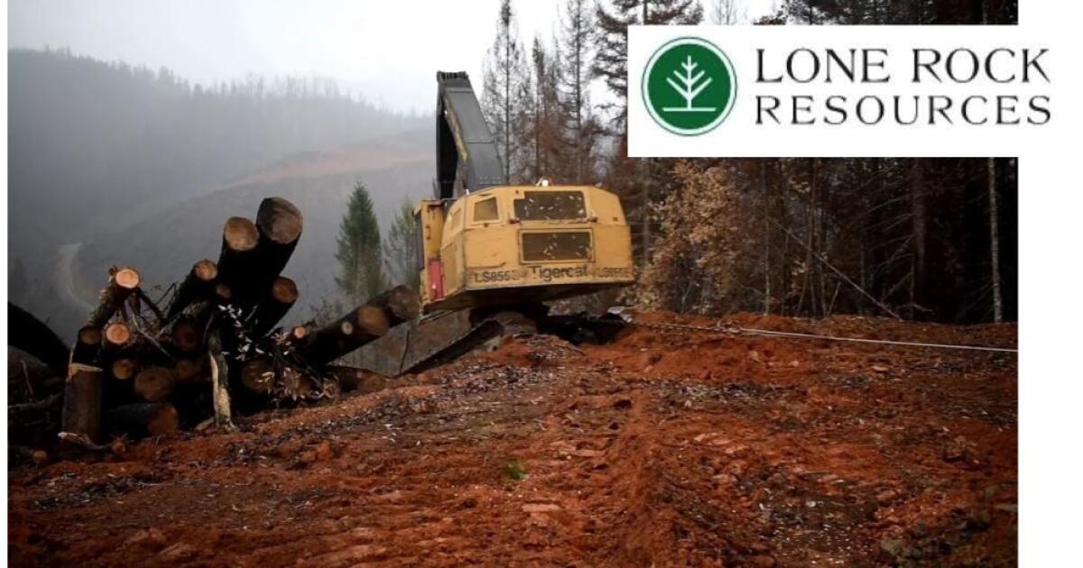The Ground Floor Managing forests for forever, at Lone Rock Resources