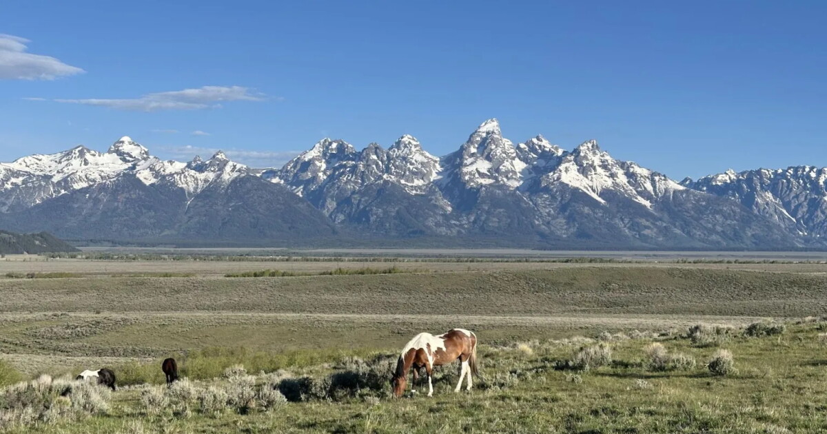 MLB backs down from Grand Teton pitch. Other parks may still be on the table