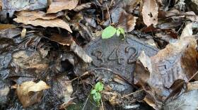 Cast iron markers are the only remaining physical evidence of a potter's field in Red Bank.