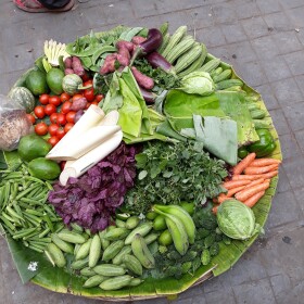 A plate full of veggies.