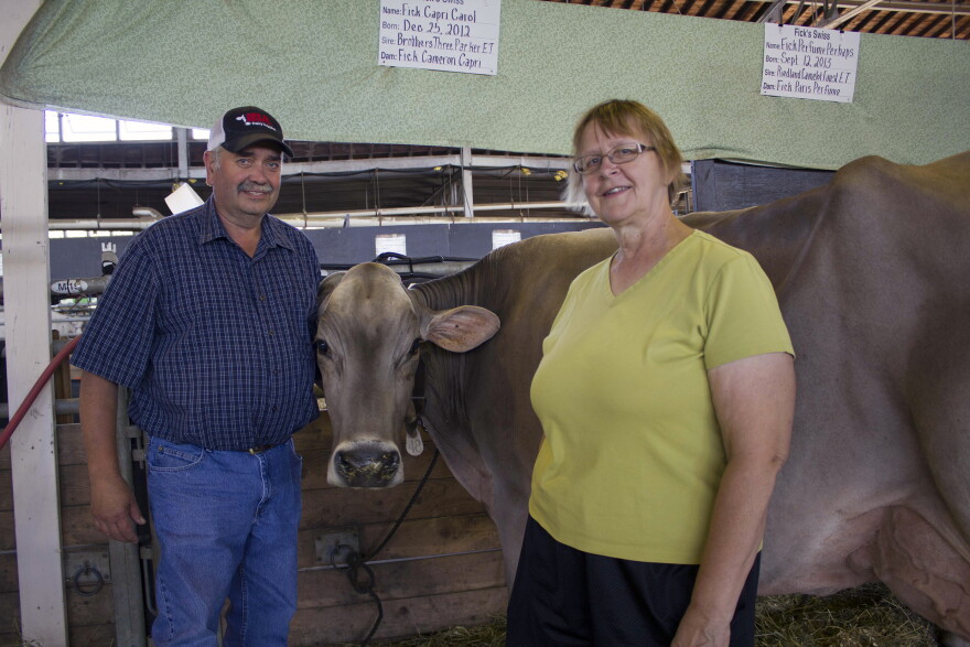 Galen Fick and his wife Sandy, stand next to some of their Brown Swiss cows at the Iowa State Fair, have a 50-cow herd in Boyden, Iowa. 