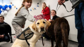 K-9 Chase is all dressed up for Hodges’ birthday party. Chase is also a Puppies Behind Dog and works with Officer Heather McClelland in the Groton Police Department. McClelland was the first officer in Connecticut to receive a dog from the Puppies Behind Dog program