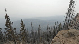 Burned trees fill a smoke-filled valley as far as the eye can see after a wildfire moved through the area on June 25, 2017, outside Panguitch, Utah. (George Frey/Getty Images)