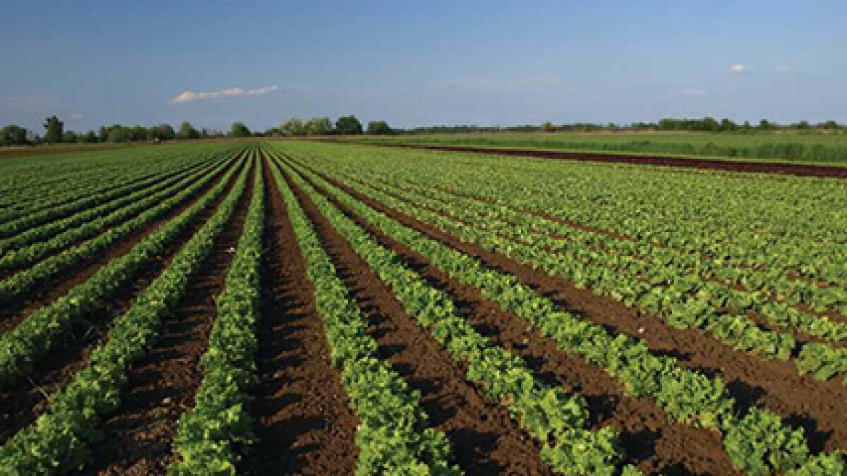 USDA Organic Transition Initiative Helps Florida farmers Begin Certification Process - Vimarsana News