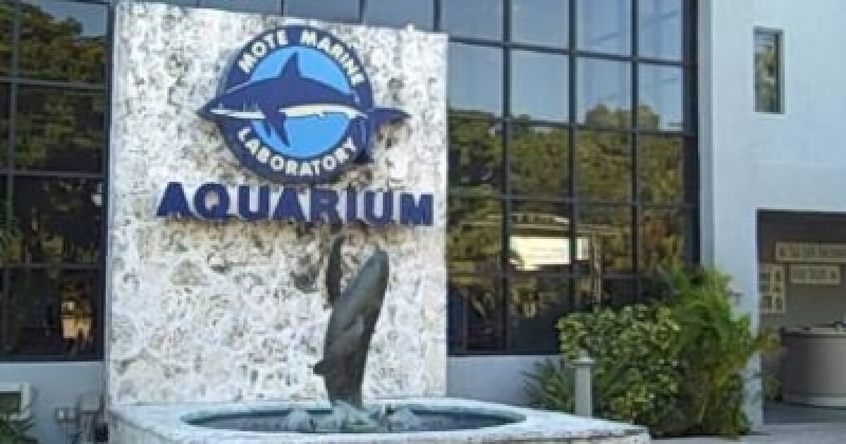 Mote Marine Aquarium Gets 400,000 for Aquatic Research WUSF Public Media