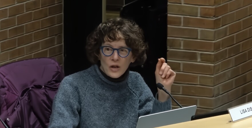 Ann Arbor City Council Member Lisa Disch.