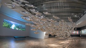 The Salmon School hanging over head in the Tacoma Art Museum