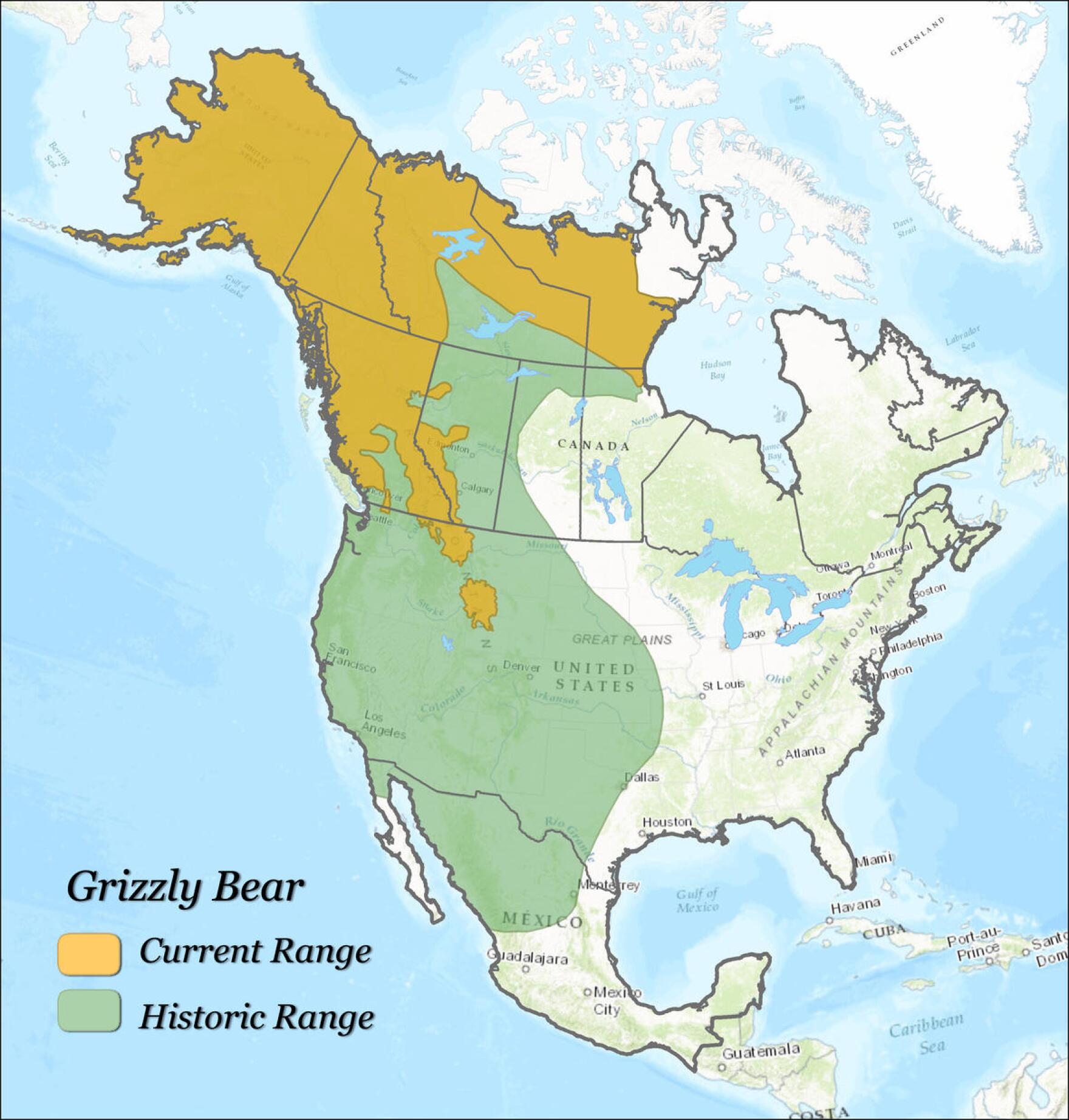 Timeline A History Of Grizzly Bear Recovery In The Lower 48 States Timeline A History Of Grizzly Bear Recovery In The Lower 48 States