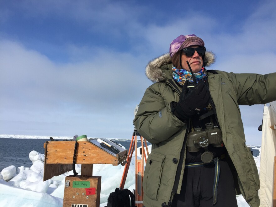 North Slope Borough wildlife biologist Craig George says until this year bowhead migration has been pretty steady despite changes in the environment.