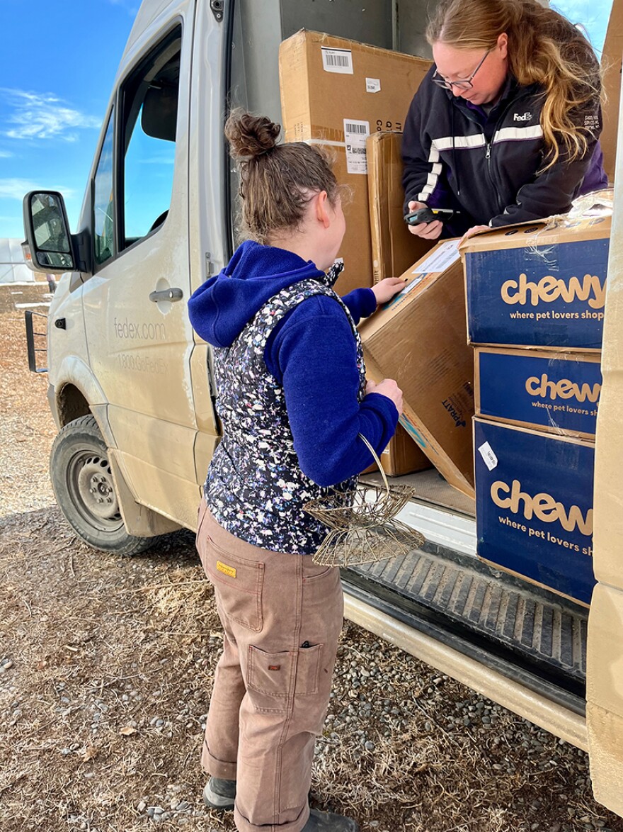 Laurel flower farmer Carah Ronan receiving tulip bulbs at her farm in early February