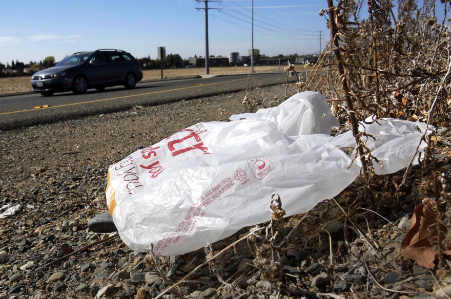 A plastic bag sits along a roadside in Sacramento, Calif., Oct. 25, 2013.