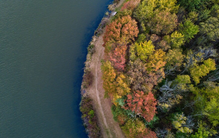 Leaves range from green to yellow to red and dark orange in Wyoming, Luzerne County, during the last week of September 2025.