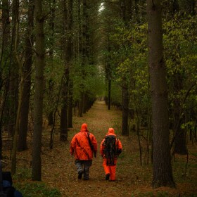 The Wisconsin Department of Natural Resources reports so far this season's gun deer count is slightly up from 2024.