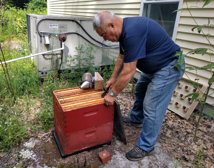 Terry Klein with a hive