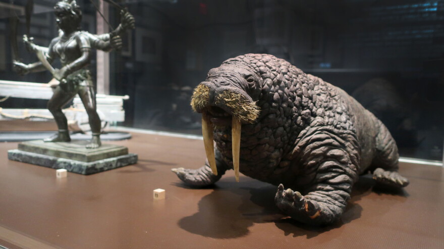 harryhausen walrus hero