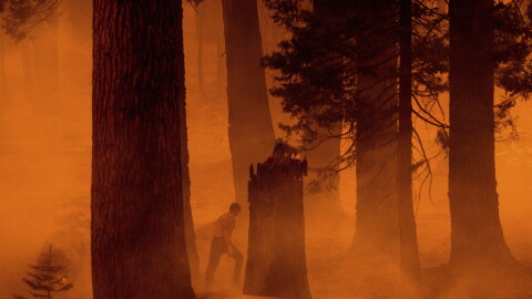 A firefighter walks through haze as the Park Fire burns near the Mineral community of Tehama County, Calif. on Wednesday, Aug. 7, 2024
