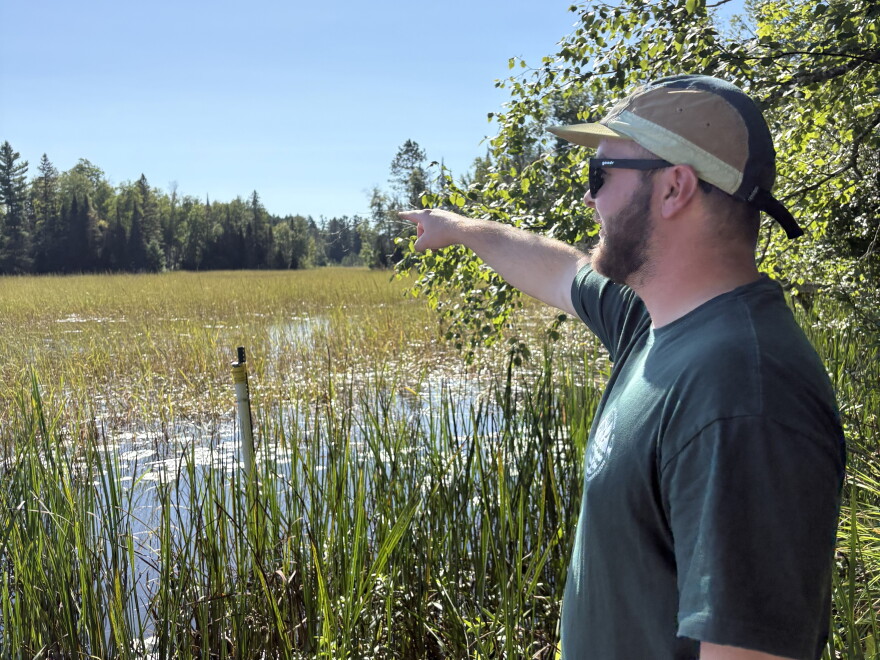 Hilding gestures towards the wild rice beds while explaining why this year looks different for the harvest.