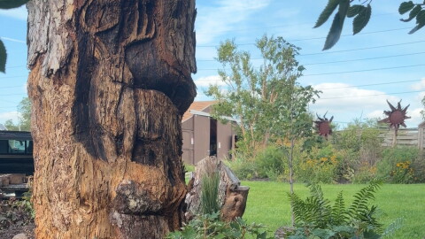 A deer with antlers is carved into a tree stump