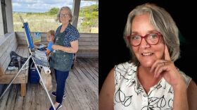 Painter and Wilmington-native Barbara Bear Jamison