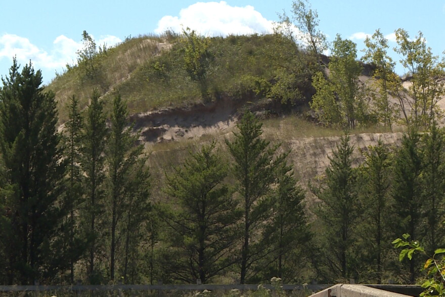 A sand dune at Indiana Dunes National Park. (Tyler Lake/WTIU)