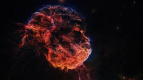 This supernova remnant is IC 443 photographed by new EAAA member Brian Toups, taken with his Esprit 120 Apo refractor, with QHY268 M astrocamera, and four hour narrowband exposures. In particular, note the “umbilical cord” below the explosion…Betelguese is leaving a similar stellar wind as it moves in space.