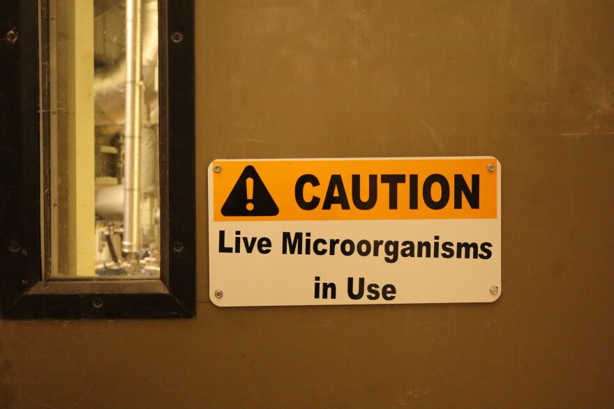 Corn becomes bio-based 1,4-butanediol (BDO) through a fermentation process, where genetically engineered microorganisms convert corn starch into BDO. First, corn is processed to extract its starch, which is then fermented using bacteria. This process releases BDO as the end product.