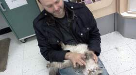 Former construction worker Alex Perry finds his calling as a cat groomer.