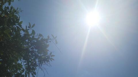 Sun on a blue sky framed by trees