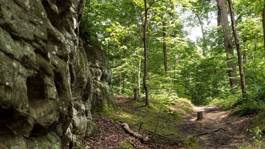 Wilderness trail next to rock wall.