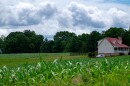 rural farmland with a house with a red roof on the right