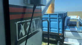 Corn harvesting on the Oxley Family Farm