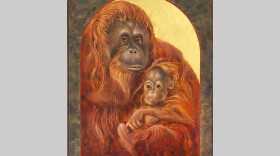 The Sumatran Orangutan by Angela Manno