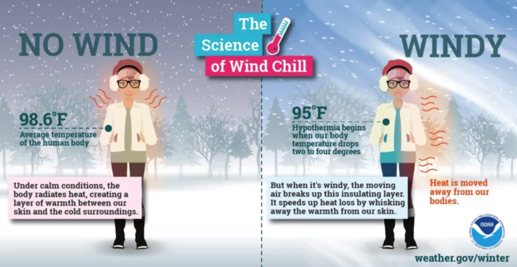 Extreme cold watch for much of Florida; brutally cold weekend | Florida ...