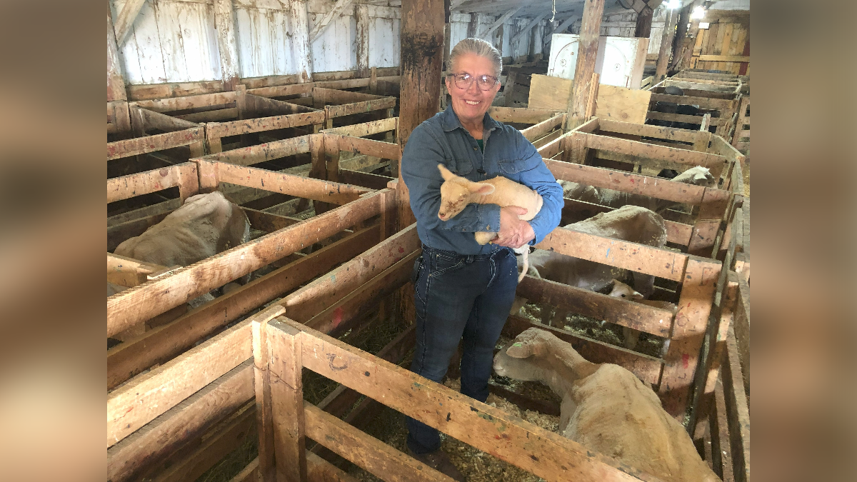 Ranch Woman Says Raising Sheep & Cattle is Only Career for Her - Vimarsana News