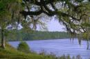 Apalachicola River