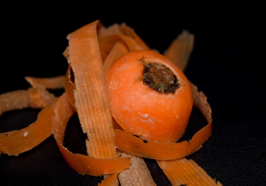 Carrot pieces for composting. 