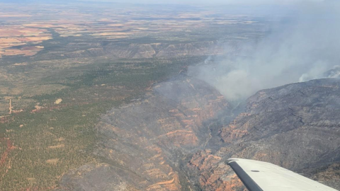 The Ferris Fire is burning approximately 15 miles northwest of Dolores, Colorado, on the San Juan National Forest. Lightning was the cause.