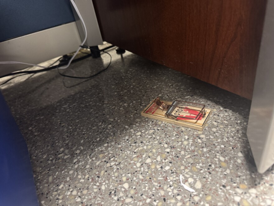 A mouse trap in Franklin Hall.